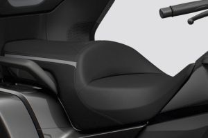 Seat of Gold Wing