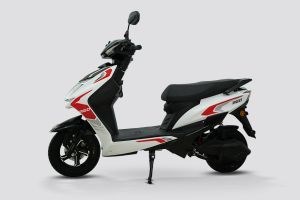 Side Profile View (Left) of Reo