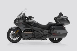 Side Profile View (Left) of Gold Wing