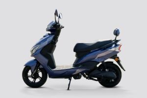 Side Profile View (Left) of ZGS