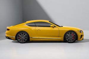 Side Profile View (Right) Image of Continental