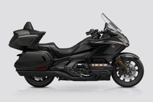 Side Profile View (Right) of Gold Wing