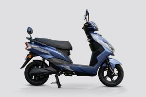 Side Profile View (Right) of ZGS