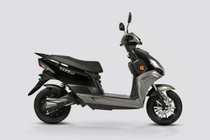 Side Profile View (Right) of Rapid