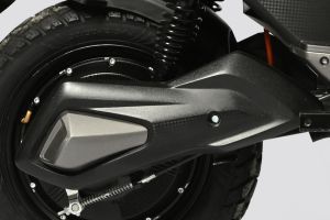 Swing Arm of Rapid