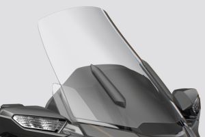 Windshield View of Gold Wing