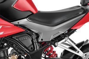 Central Panel of Karizma XMR