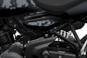 Central Panel of Himalayan 450