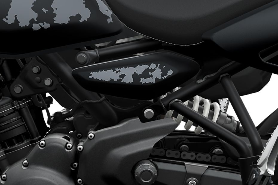 Central Panel of Himalayan 450