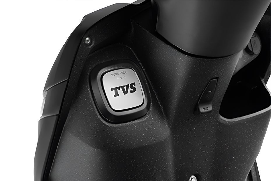 Closed Fuel Lid of Model_