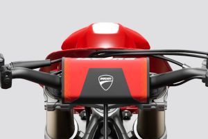 Instrument Cluster of Desmo450 MX