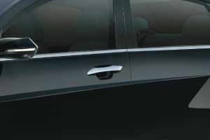 Door handles Image of Verna