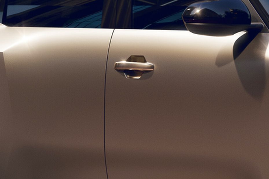 Door handles Image of Bridger