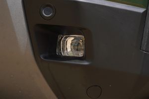 Front Fog Lamp Image of Duster