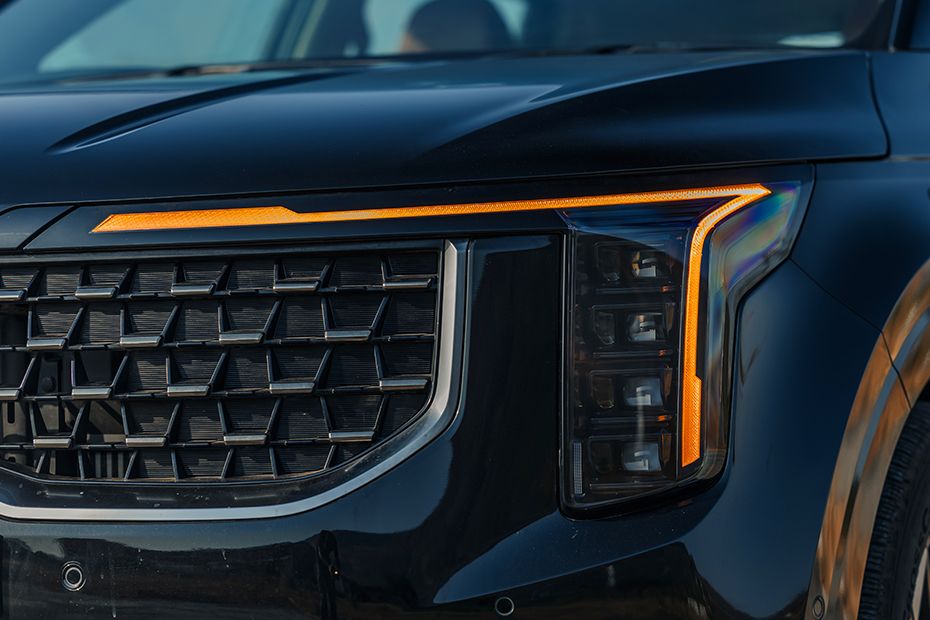 Turn Indicator (Front) Image of Carnival