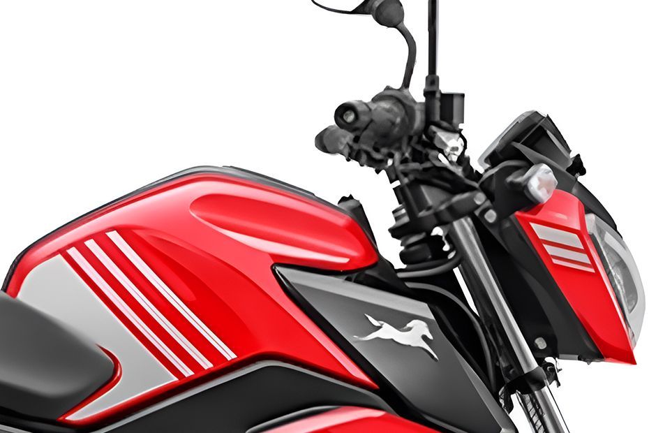 Fuel tank of Raider