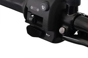 Horn of Freedom 125