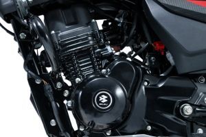Left Side oF Engine of Platina 100