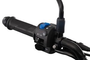 Left Switchgear of  Freedom 125