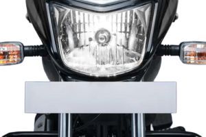 Number Plate of Platina 100