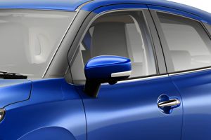 Outside Mirror Image of Glanza