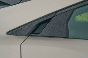 Rear Door Handle Image of BE 6