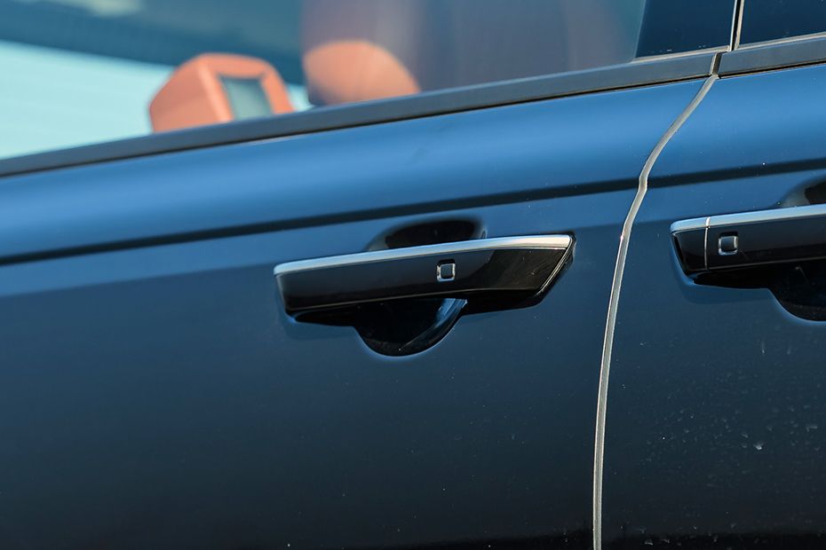 Rear Door Handle Image of Carnival