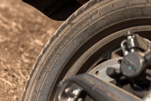 Rear Tyre View of Indie