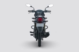 Rear View of Platina 110