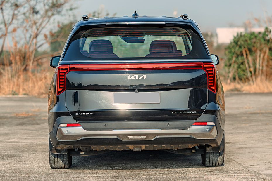 Rear View Image of Carnival