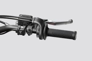 Right Switchgear of  Desmo450 MX