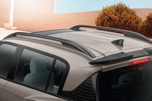 Roof Rails Image of Exter