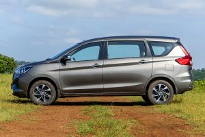 Side view Image of Rumion