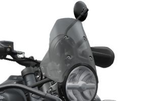 Windshield View of Himalayan 450