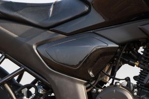 Central Panel of FZ-RAVE