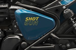 Central Panel of Shotgun 650