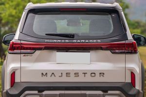 Boot (Closed) Image of Majestor