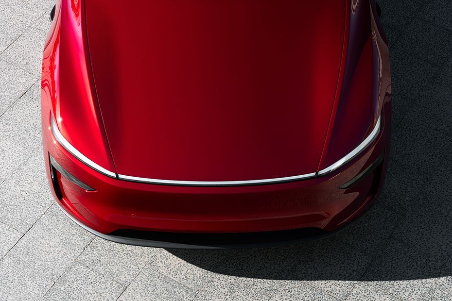 Daytime Running Lamps (DRL) Image of Model Y
