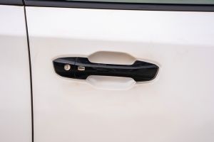 Door Handle Image of Majestor