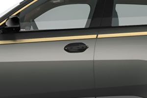 Door Handle Image of XM