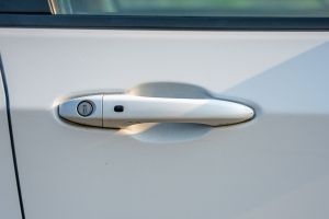 Door Handle Image of Meridian