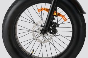 Front Brake of Flex GO