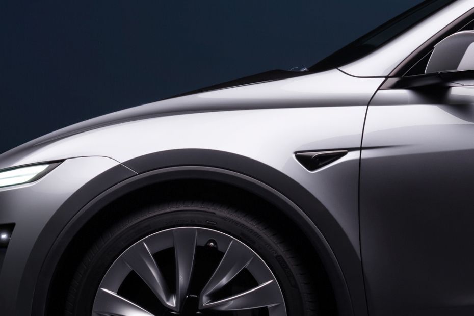 Front Fender Image of Model Y