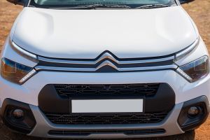 Front Grille Image of C3