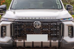 Front Grille Image of Majestor