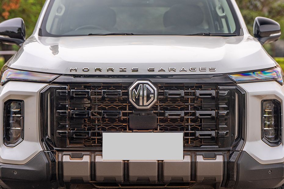 Front Grille Image of Majestor