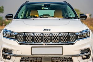 Front Grille Image of Meridian