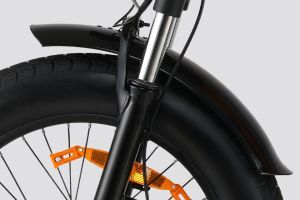Front Mudguard & Suspension of Flex GO