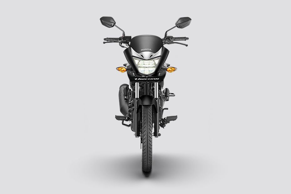 Front View of Unicorn