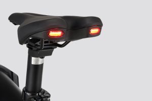 Indicator (Rear) of Flex GO